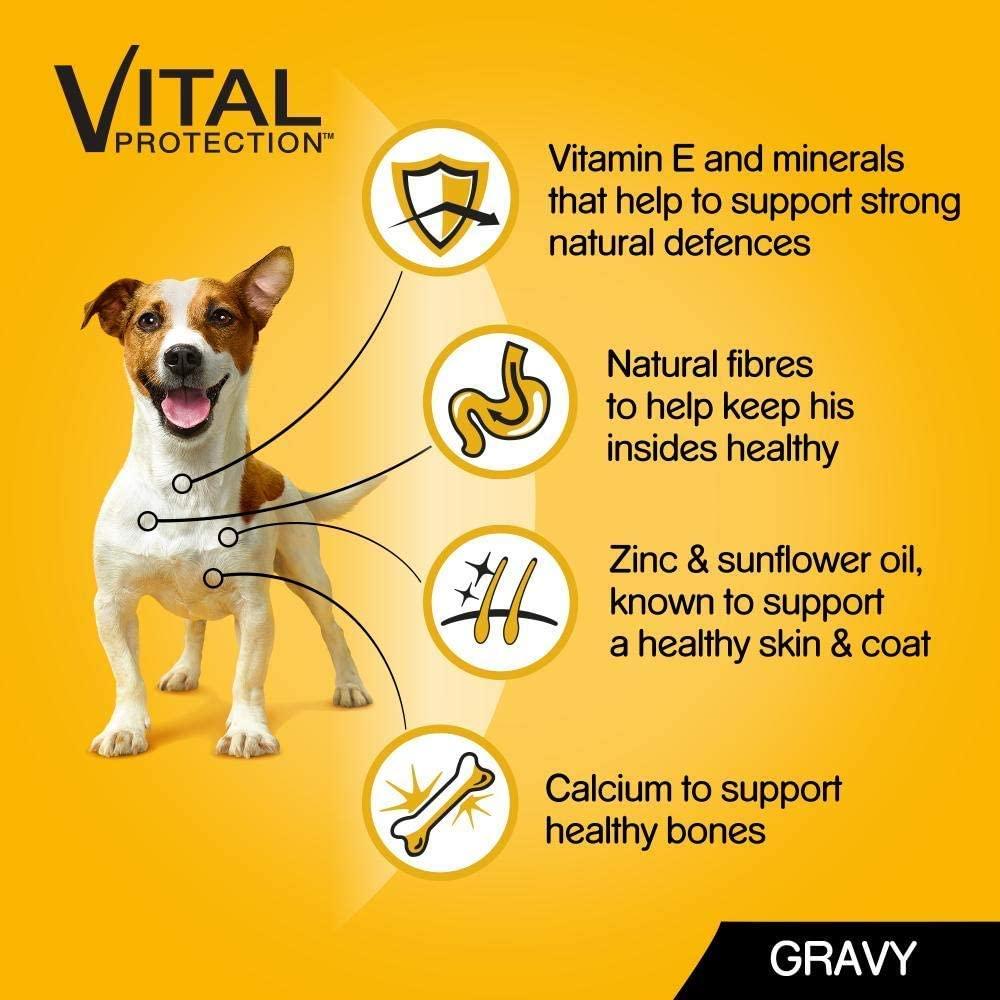 Pedigree Vital Protection - Wet Dog Food Pouches in Gravy Mix of Flavours 100 g LUCKY DIP