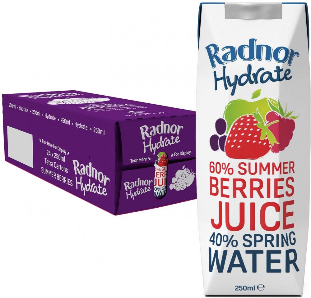 Radnor Hydrate Summer Berries Juice 250ml